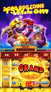 Experiência VIP Pdgbet